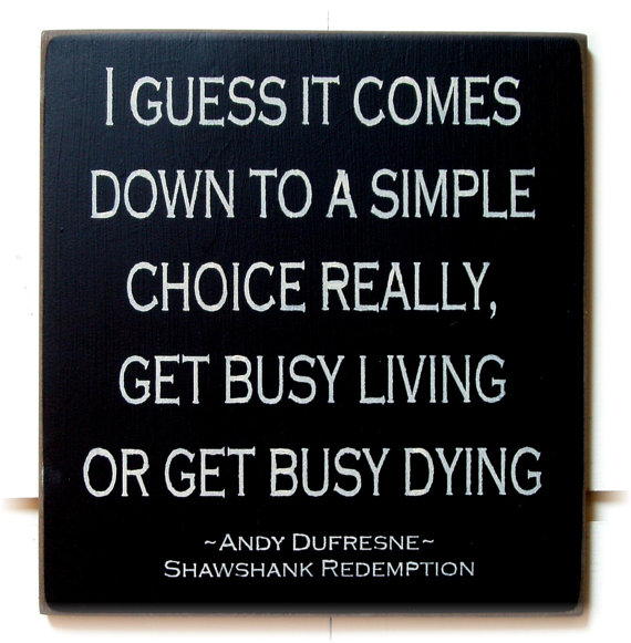 Shawshank Redemption Quotes Rehabilitation