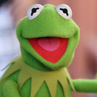 Loving Community How Vbs Kermit The Frog Introduced Me